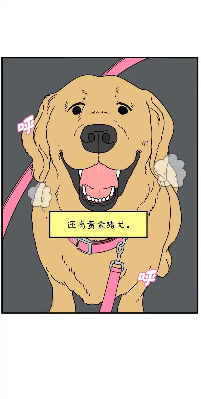 《29岁的我们》[第267话] 在P市（下） 第77页