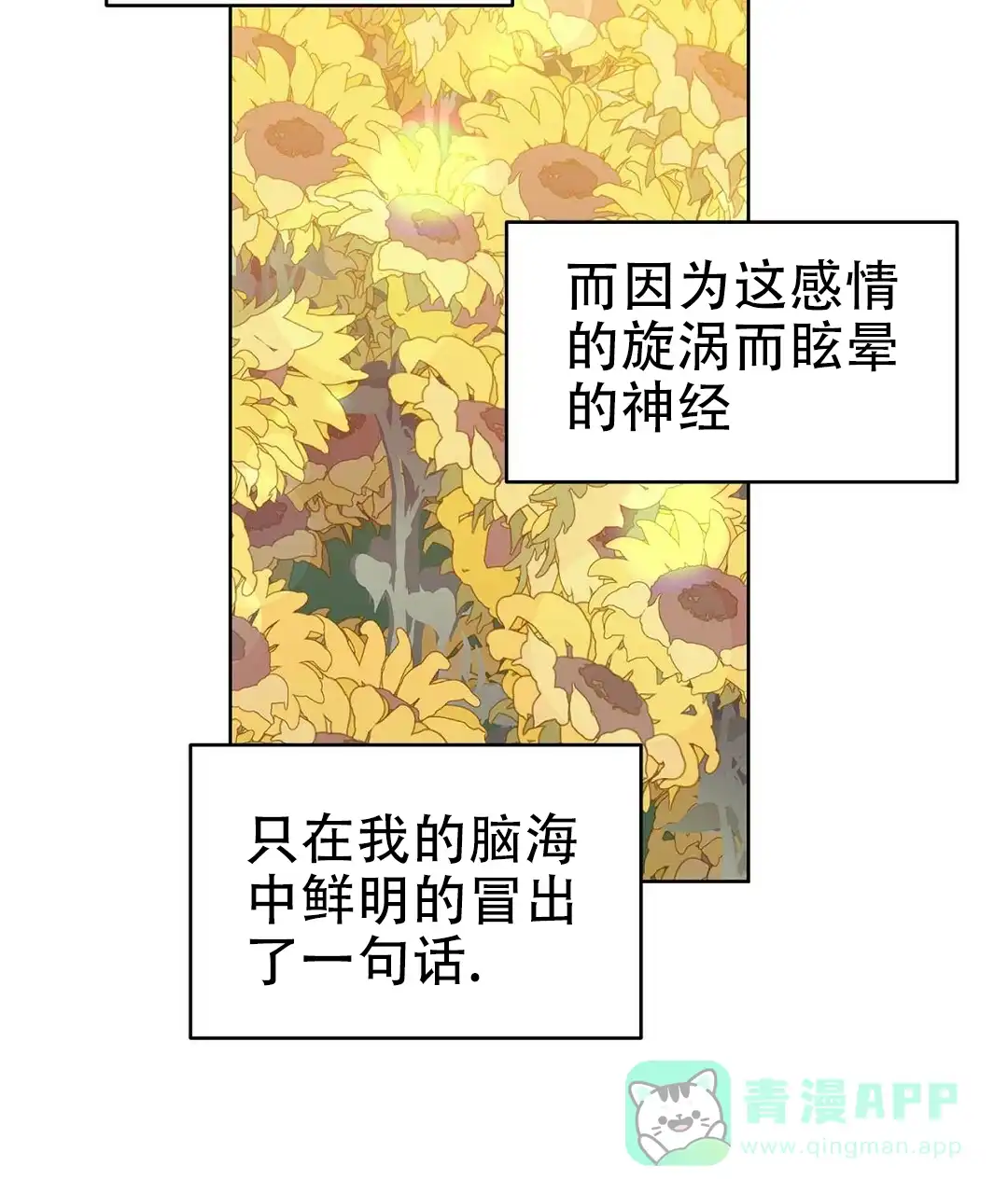 《B级向导》第61话 第41页