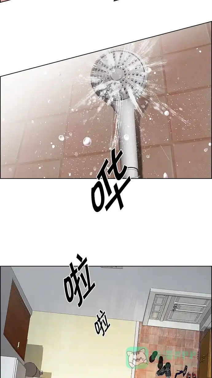 41.jpg