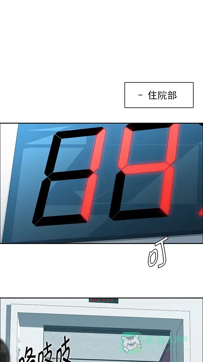 46.jpg