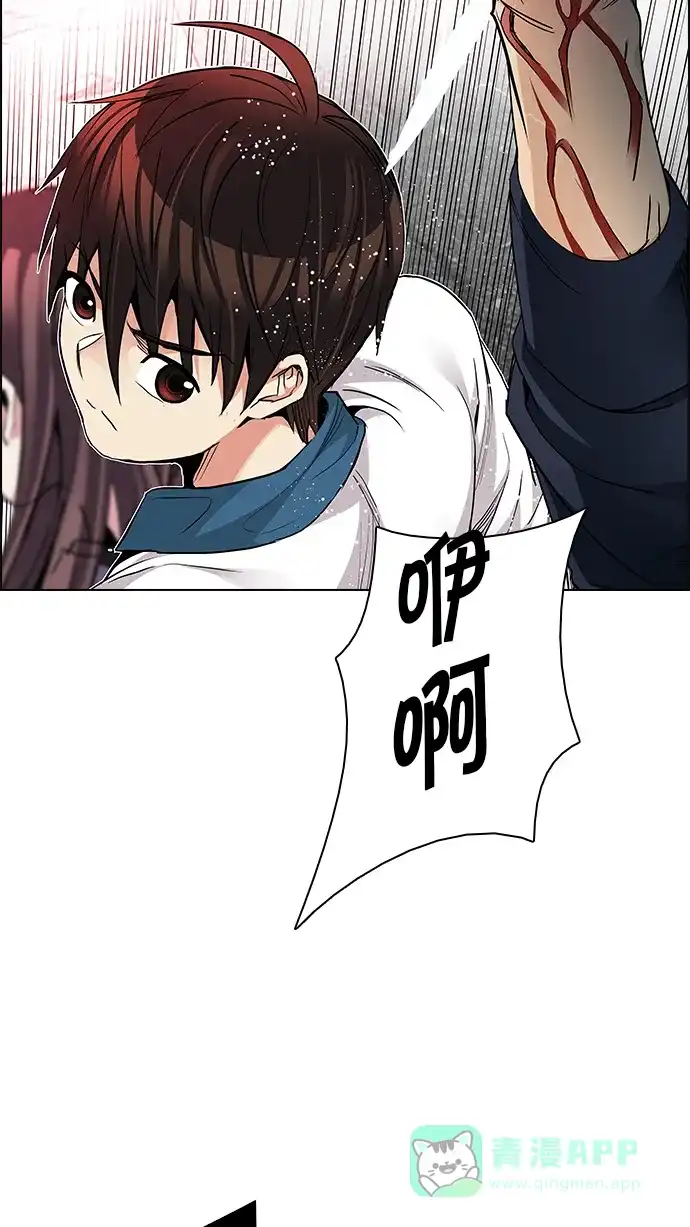 41.jpg