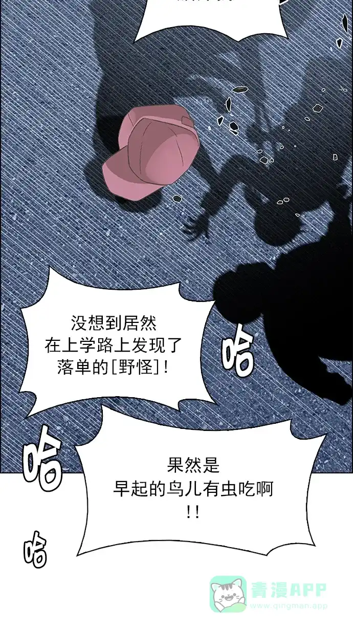 61.jpg