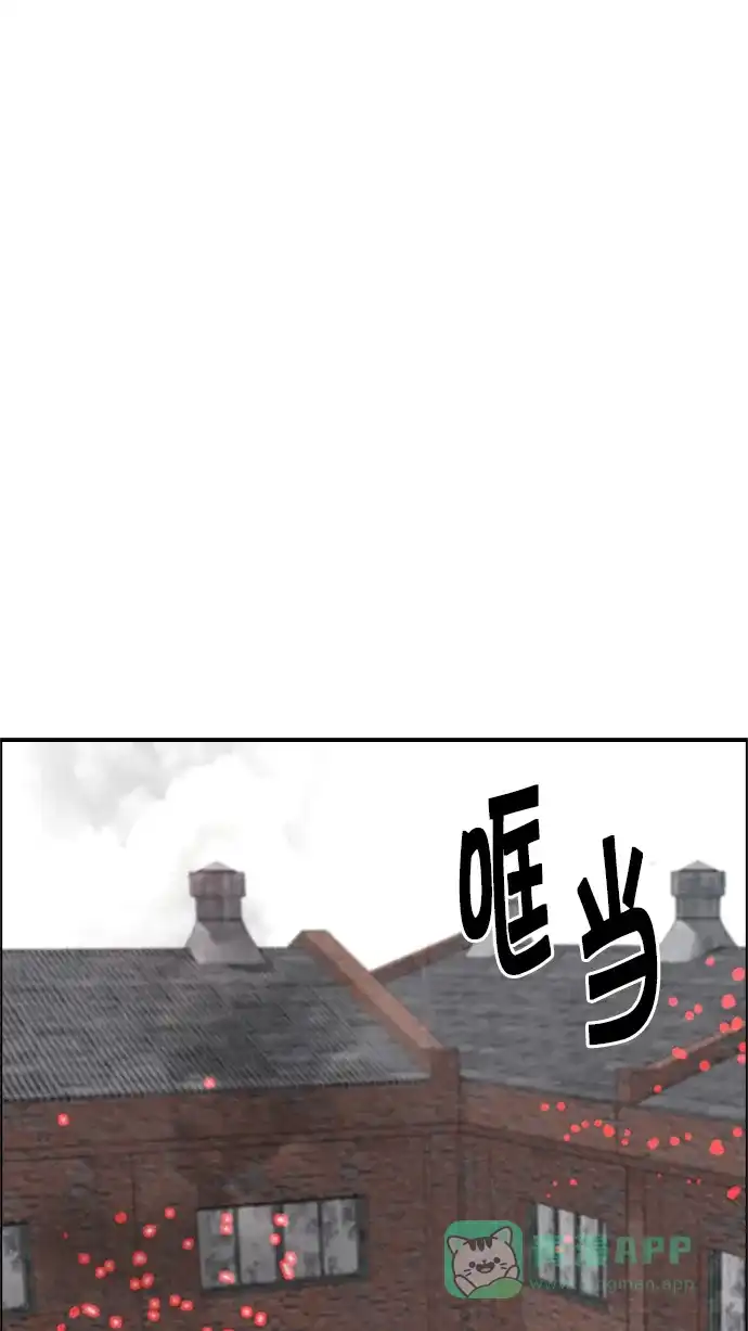41.jpg
