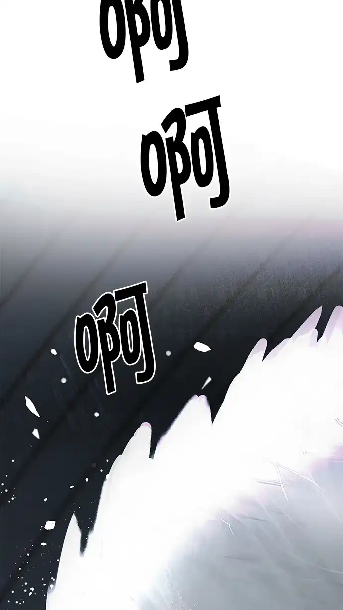 60.jpg
