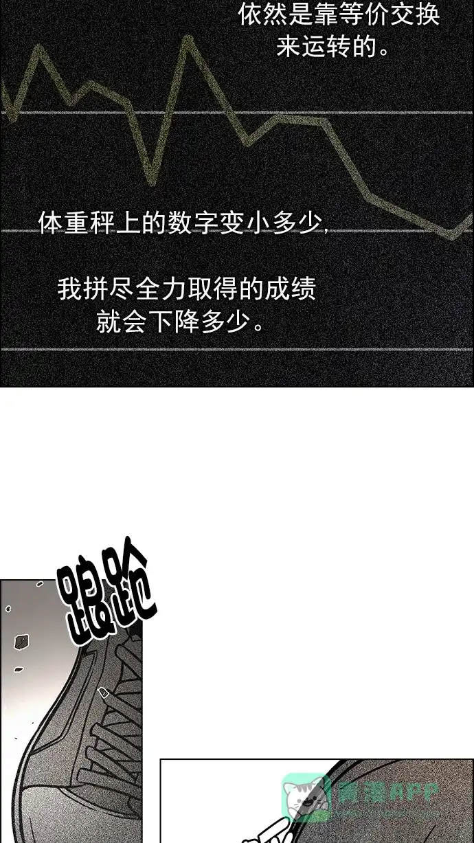 51.jpg