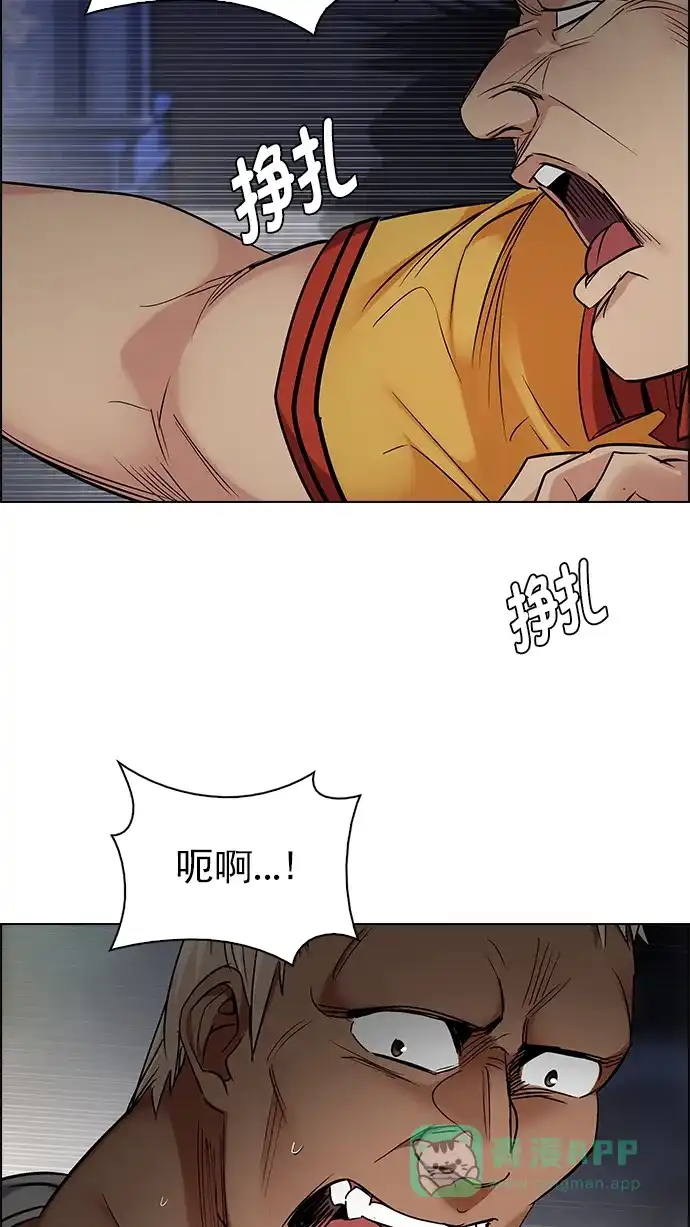46.jpg