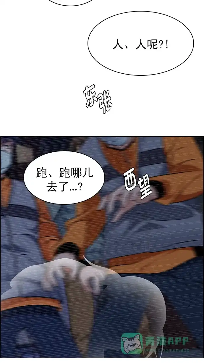 41.jpg