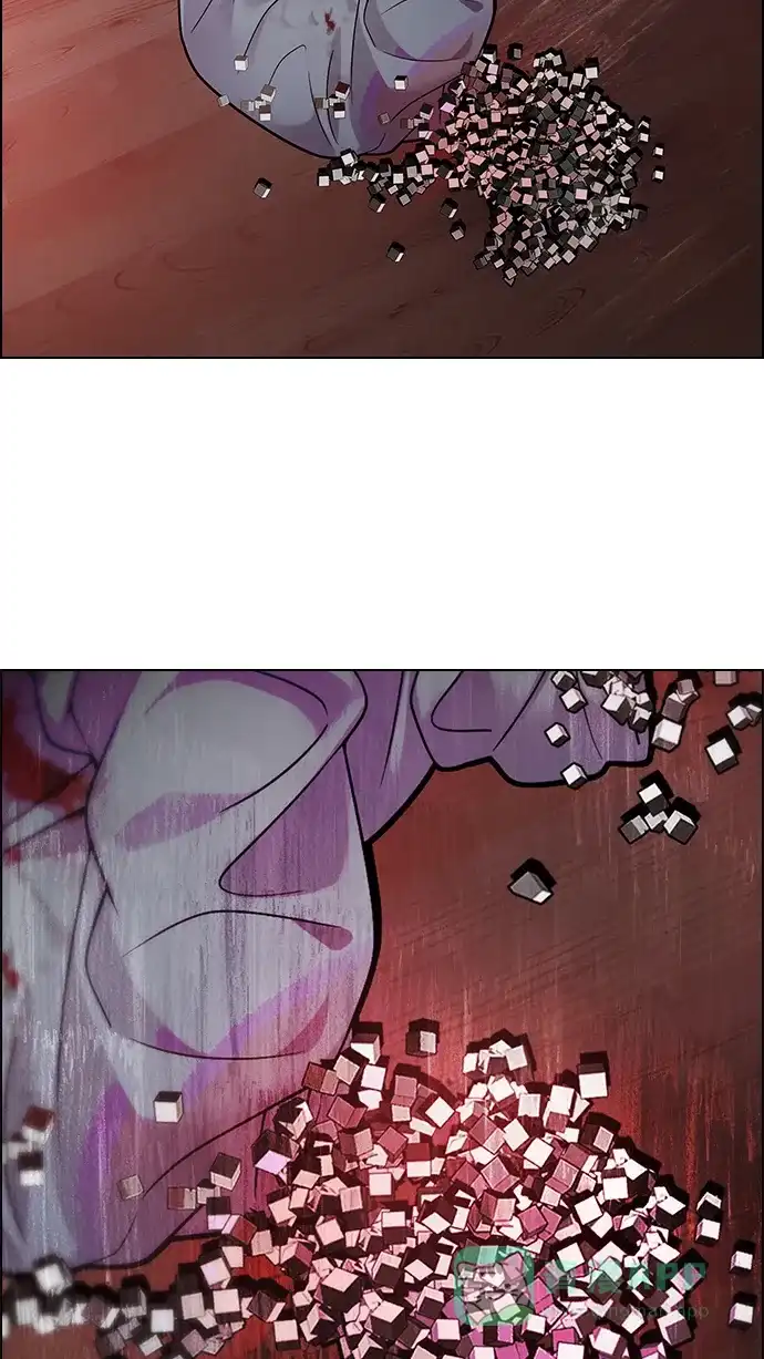 51.jpg