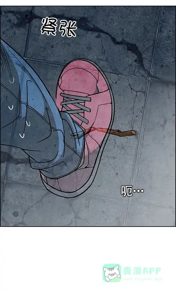 41.jpg