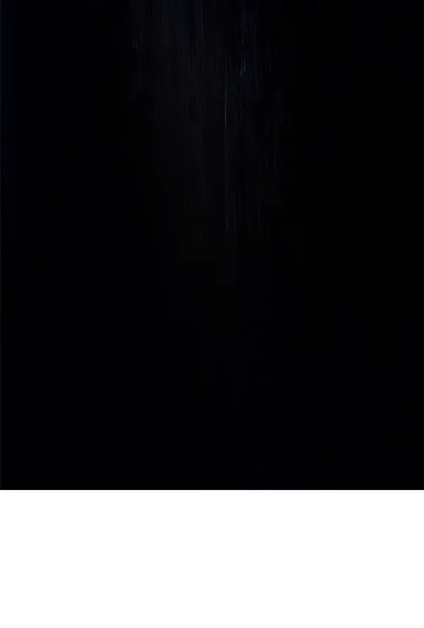 79.jpg