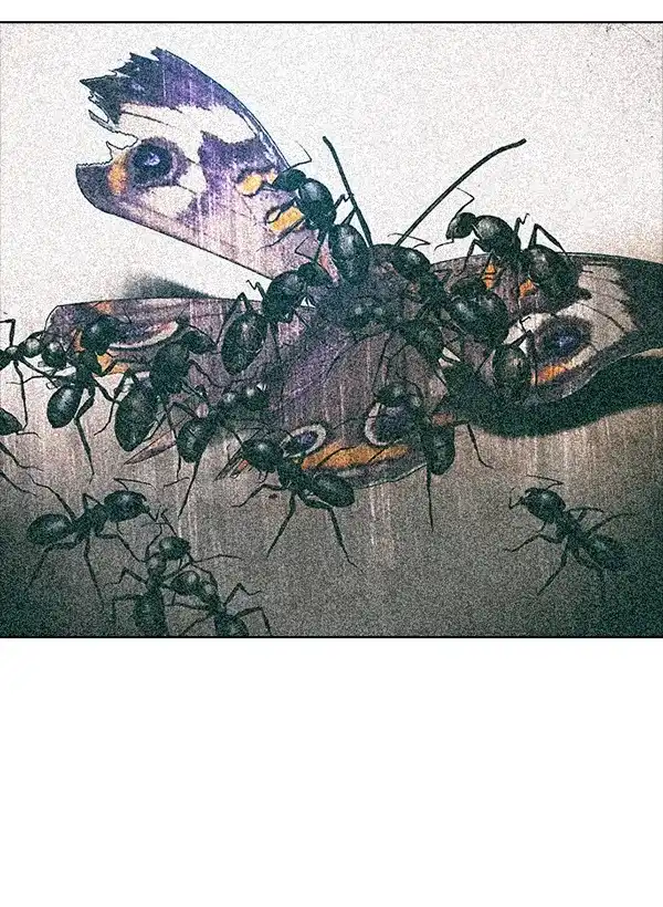 53.jpg