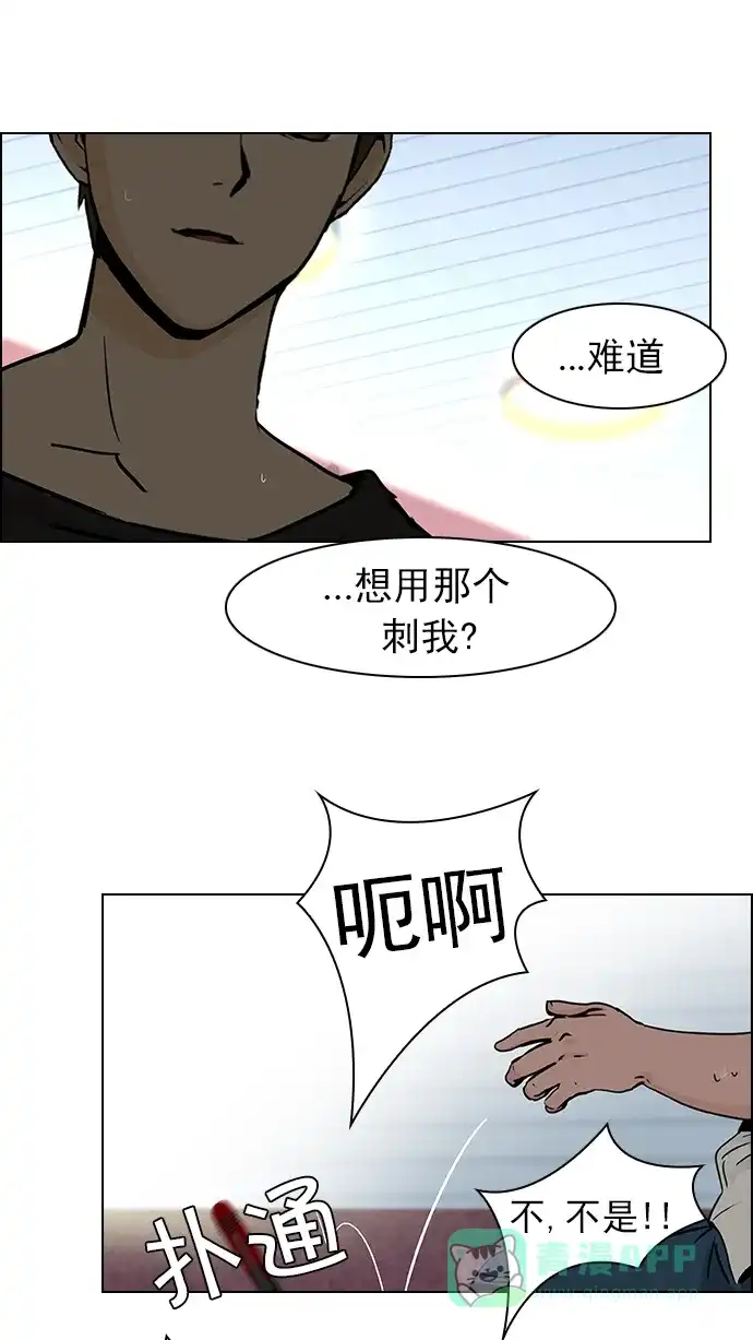 41.jpg