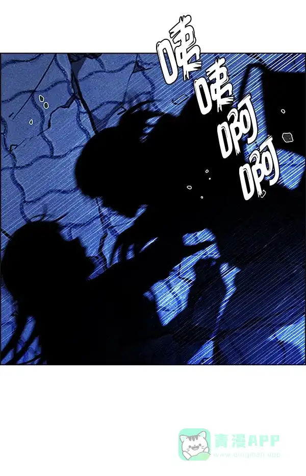 96.jpg