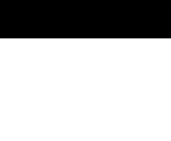 95.jpg