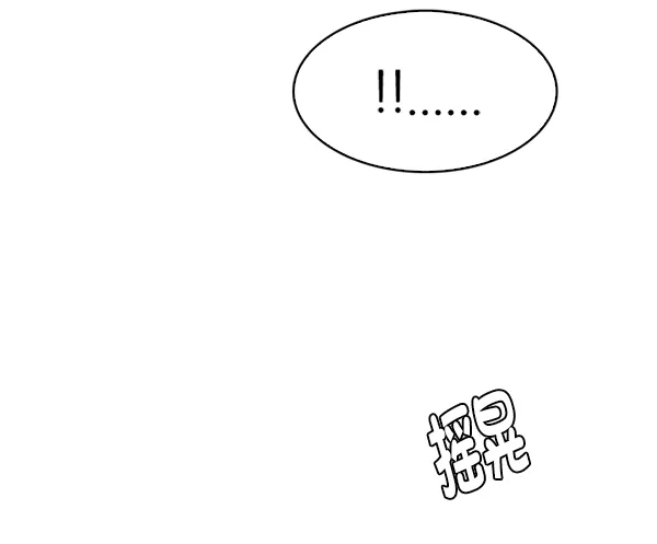 113.jpg