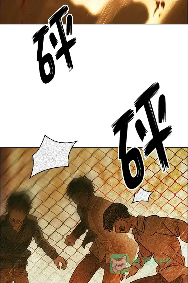 61.jpg