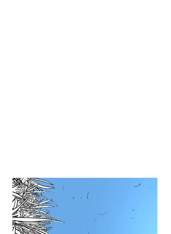 192.jpg