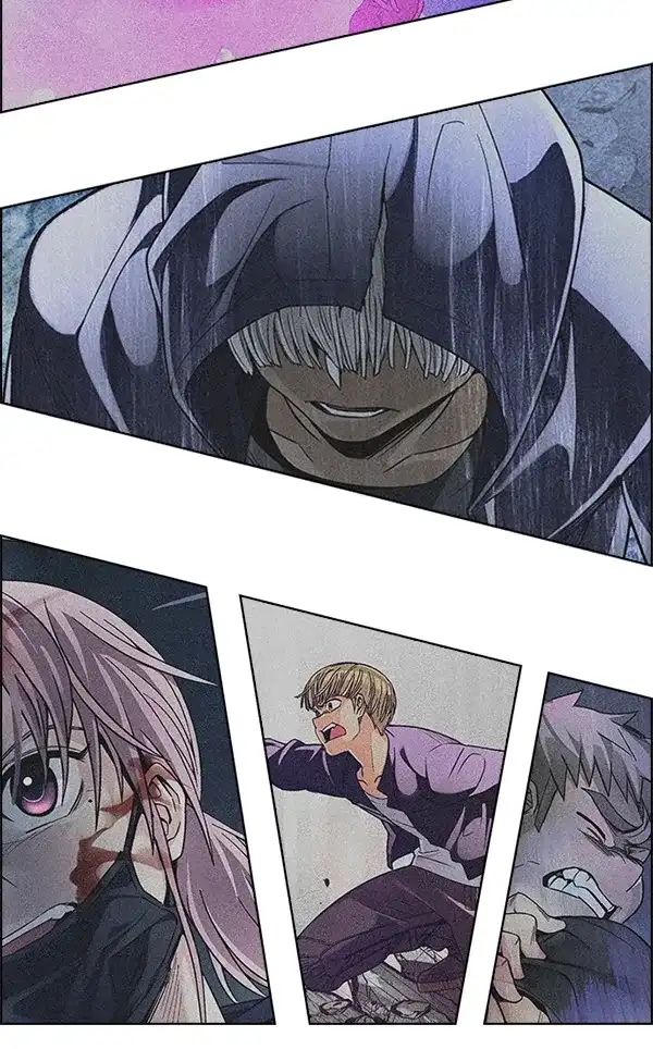 229.jpg