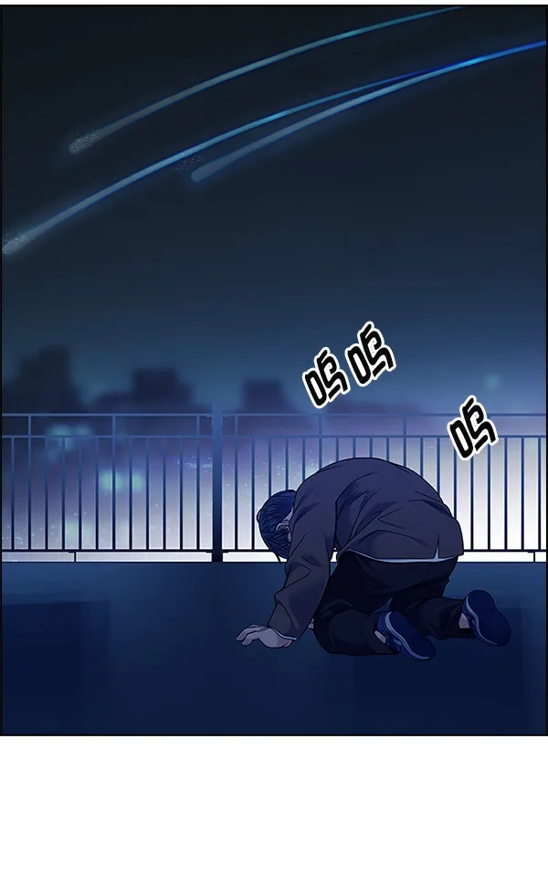 263.jpg