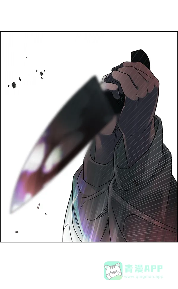231.jpg