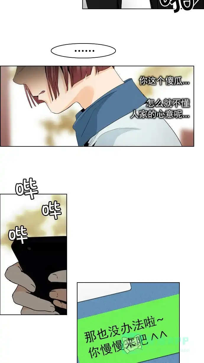 31.jpg