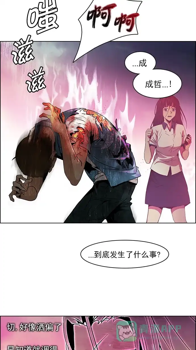51.jpg