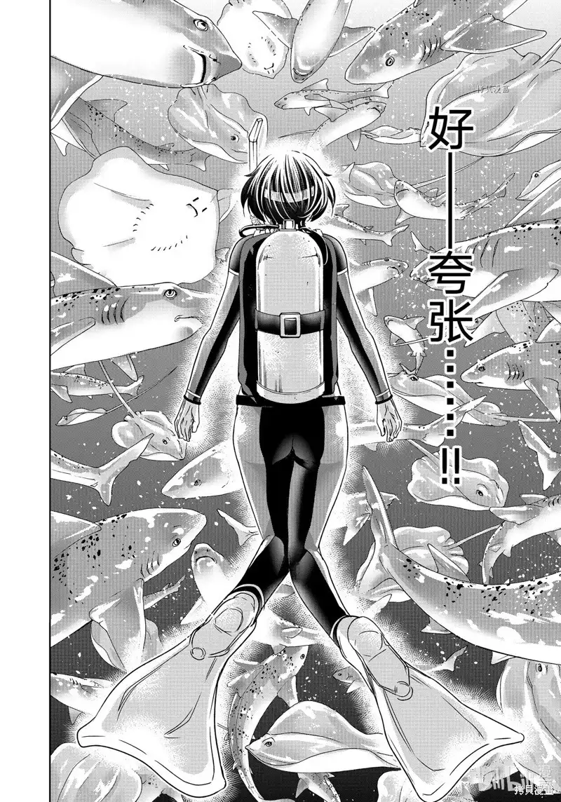 GRANDBLUE碧蓝之海 单话 第81话 第26页