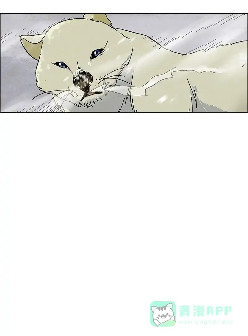 《Ho!》预告 第8页