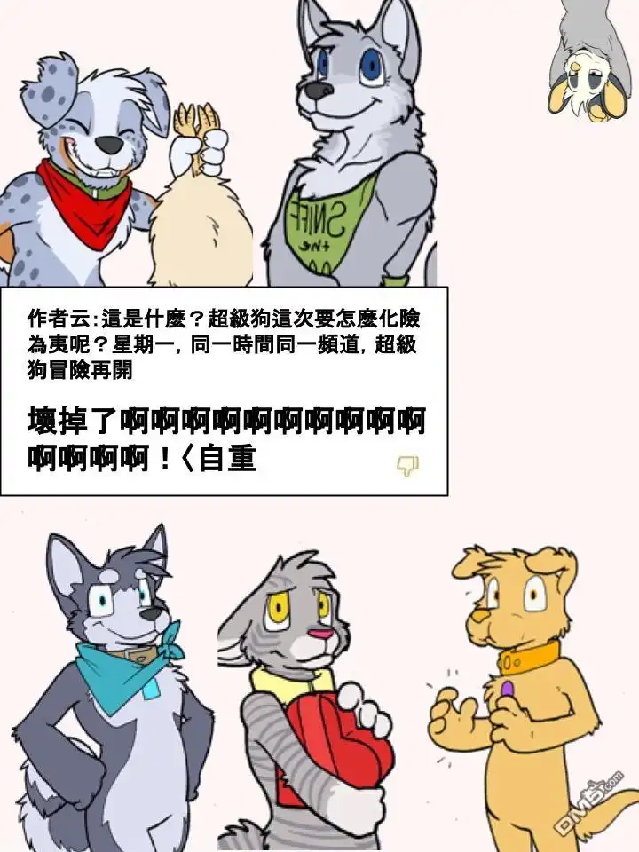 2.jpg
