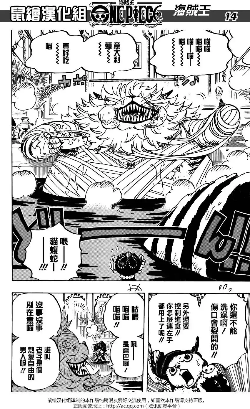 ONE PIECE航海王 单话 第814回 去见猫蝮蛇掌柜吧 第13页
