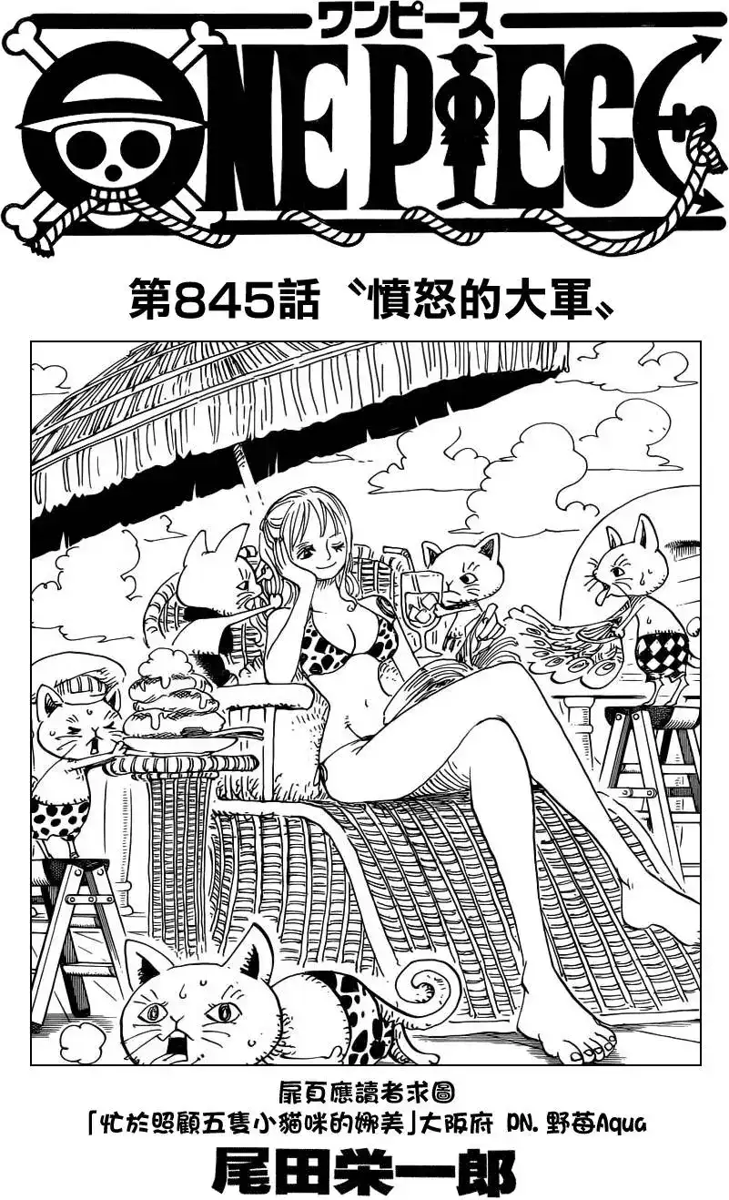 ONE PIECE航海王 单话 第845回 愤怒的大军 第1页