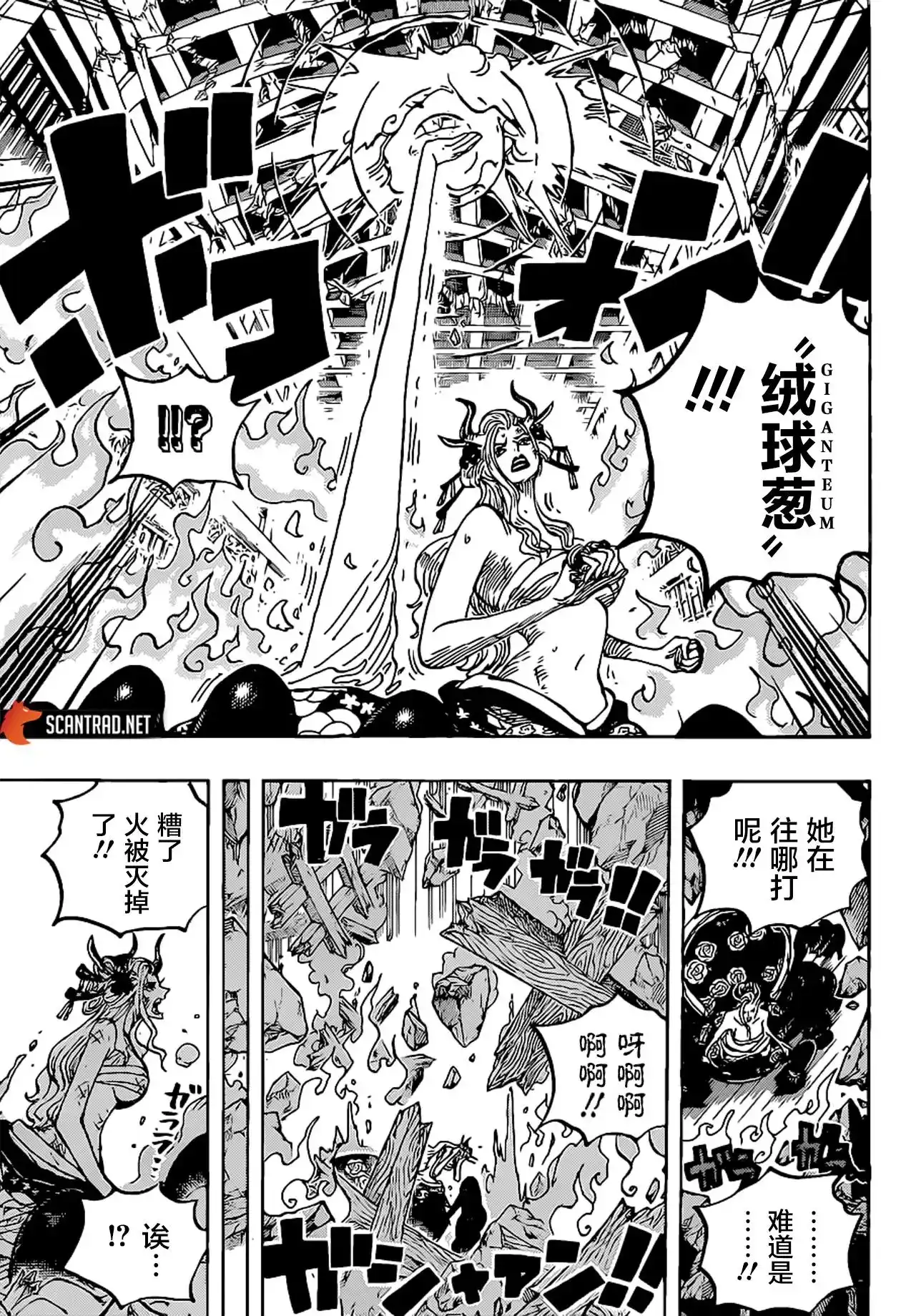 ONE PIECE航海王 单话 第1021话 第14页