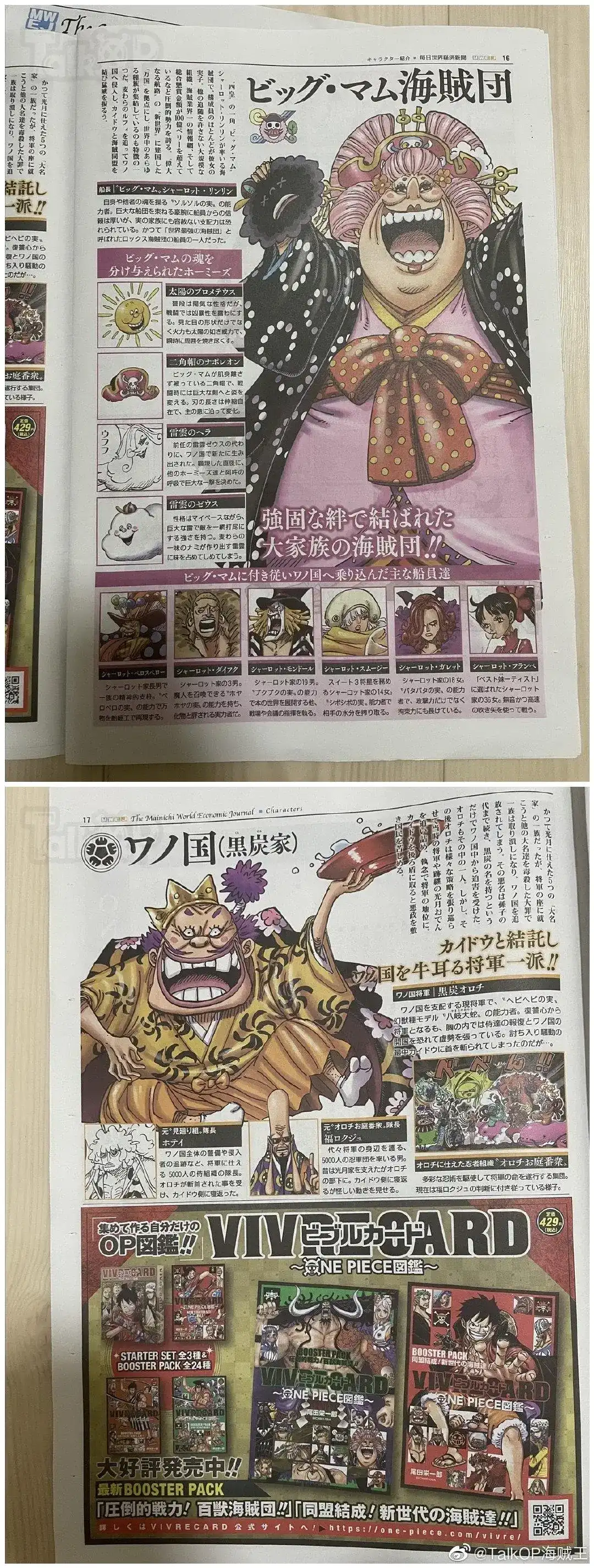 ONE PIECE航海王 番外篇 每日新聞100卷紀念刊 第15页