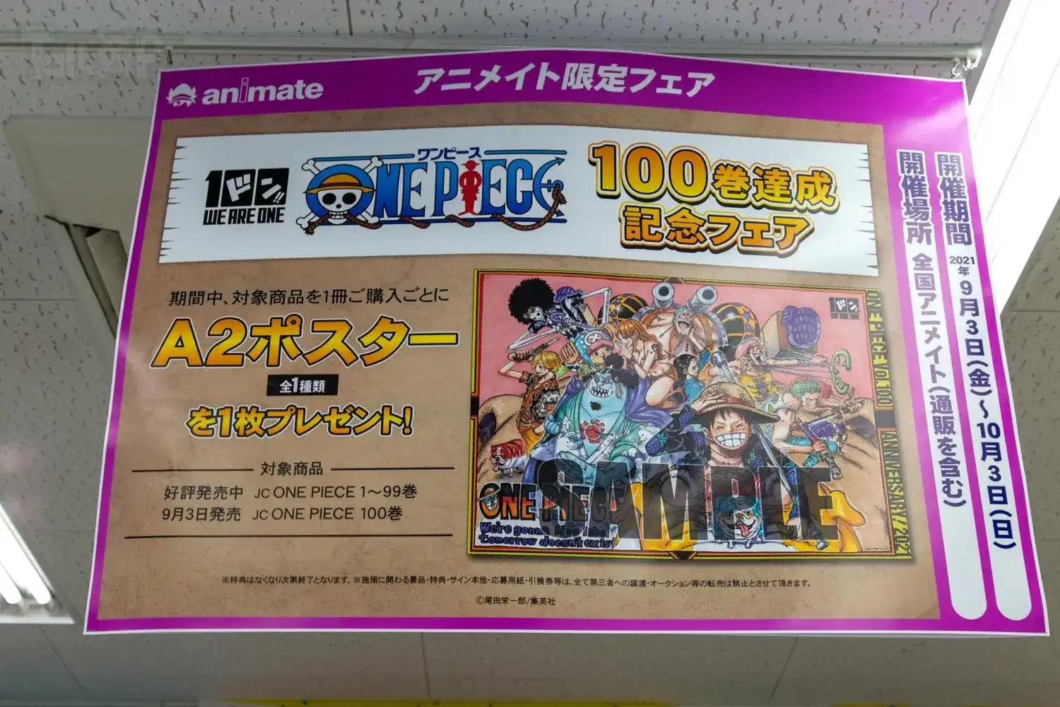 ONE PIECE航海王 番外篇 每日新聞100卷紀念刊 第24页