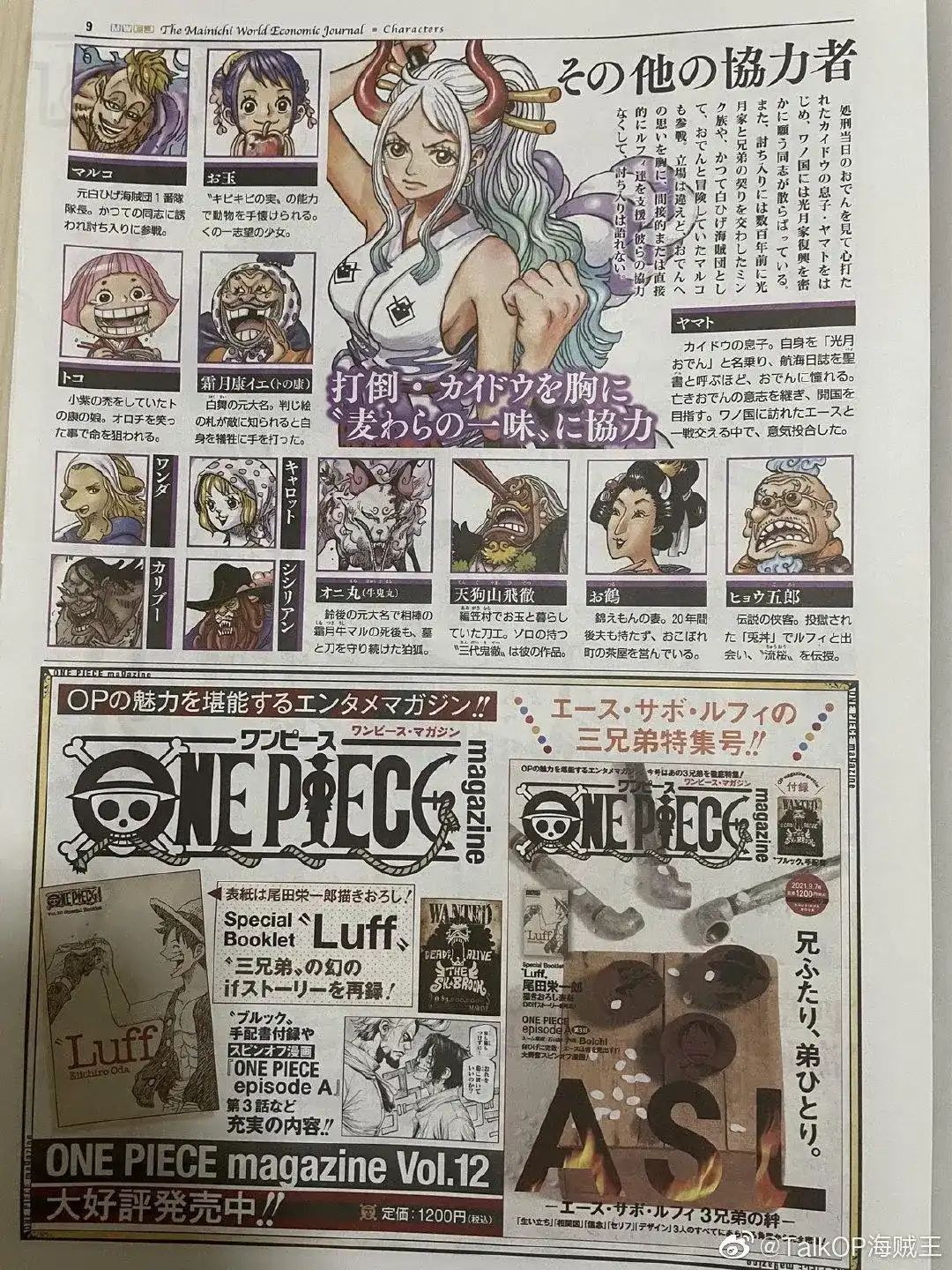 ONE PIECE航海王 番外篇 每日新聞100卷紀念刊 第10页