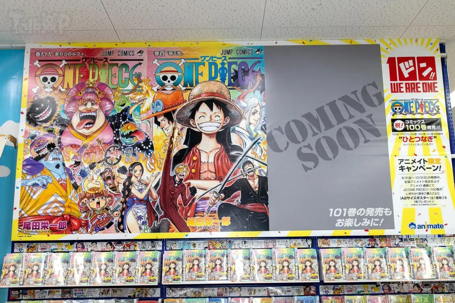 ONE PIECE航海王 番外篇 每日新聞100卷紀念刊 第28页