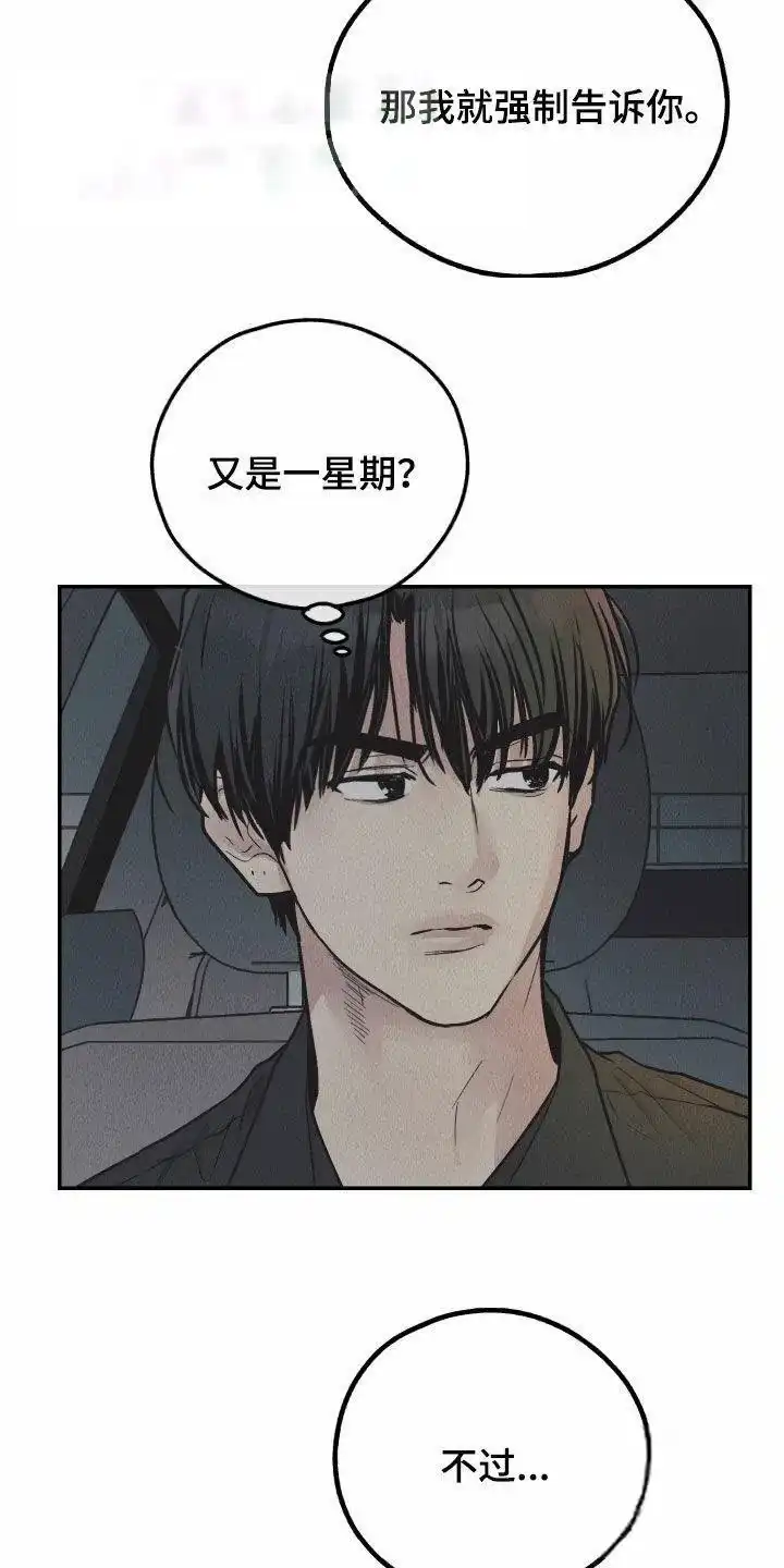 PAYBACK 第152话 第13页