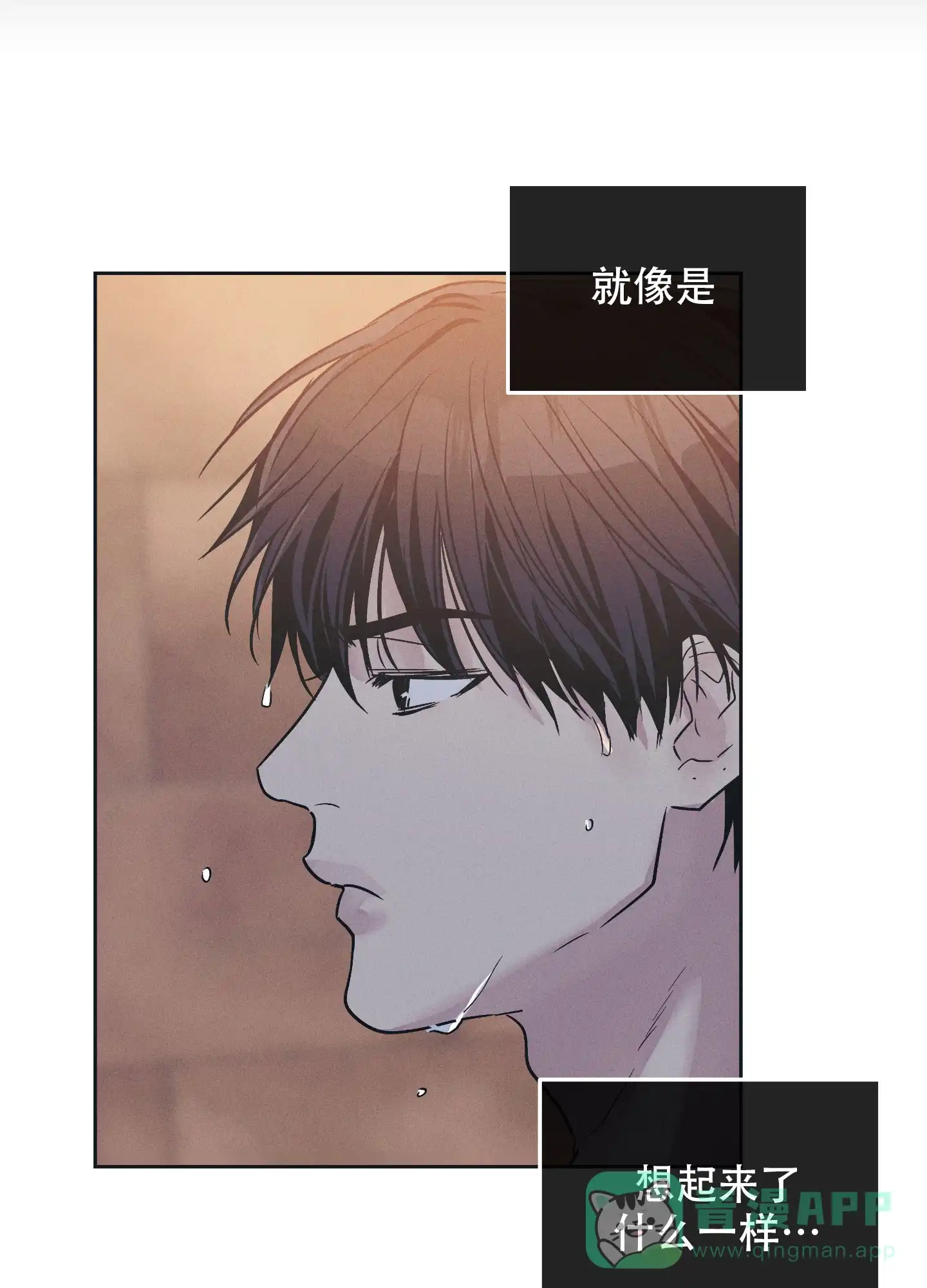 PAYBACK 第88话 第31页