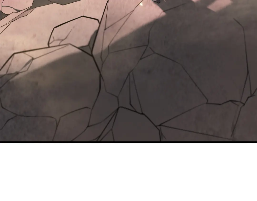 SSS级超越常理的圣骑士 第132话 卫铁心VS沈灵风（下） 第62页