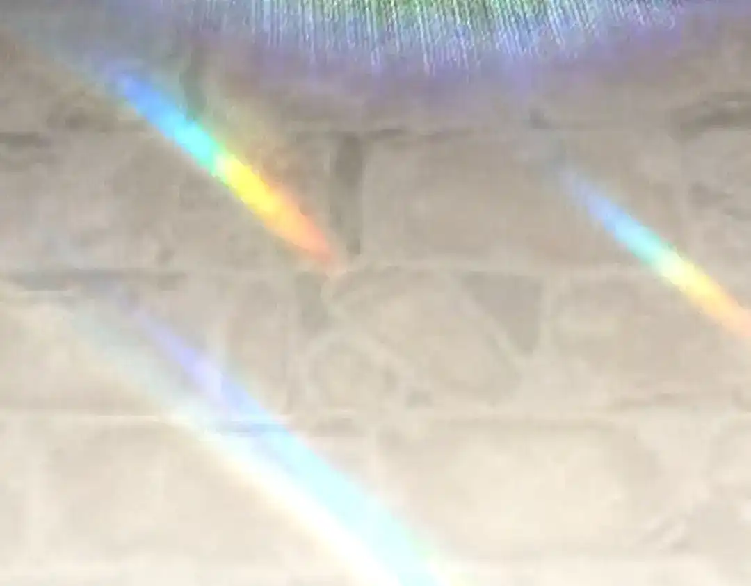 SSS级超越常理的圣骑士 第173话 第105页