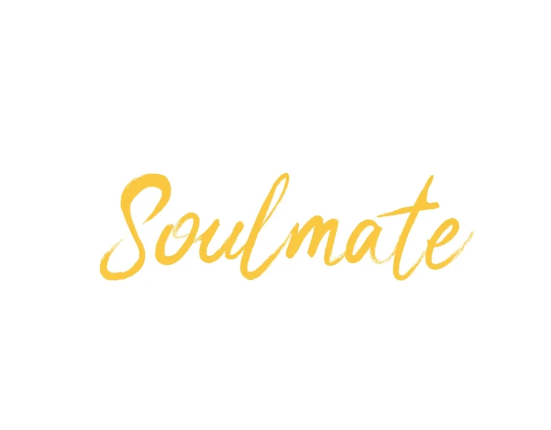 《Soulmate》第3话 二十七岁 第13页