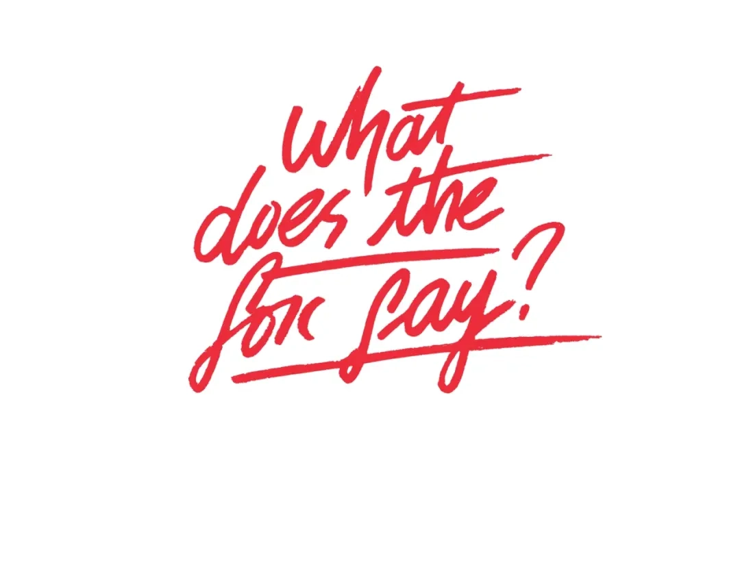 《What Does The Fox Say？》作者的信 第5页