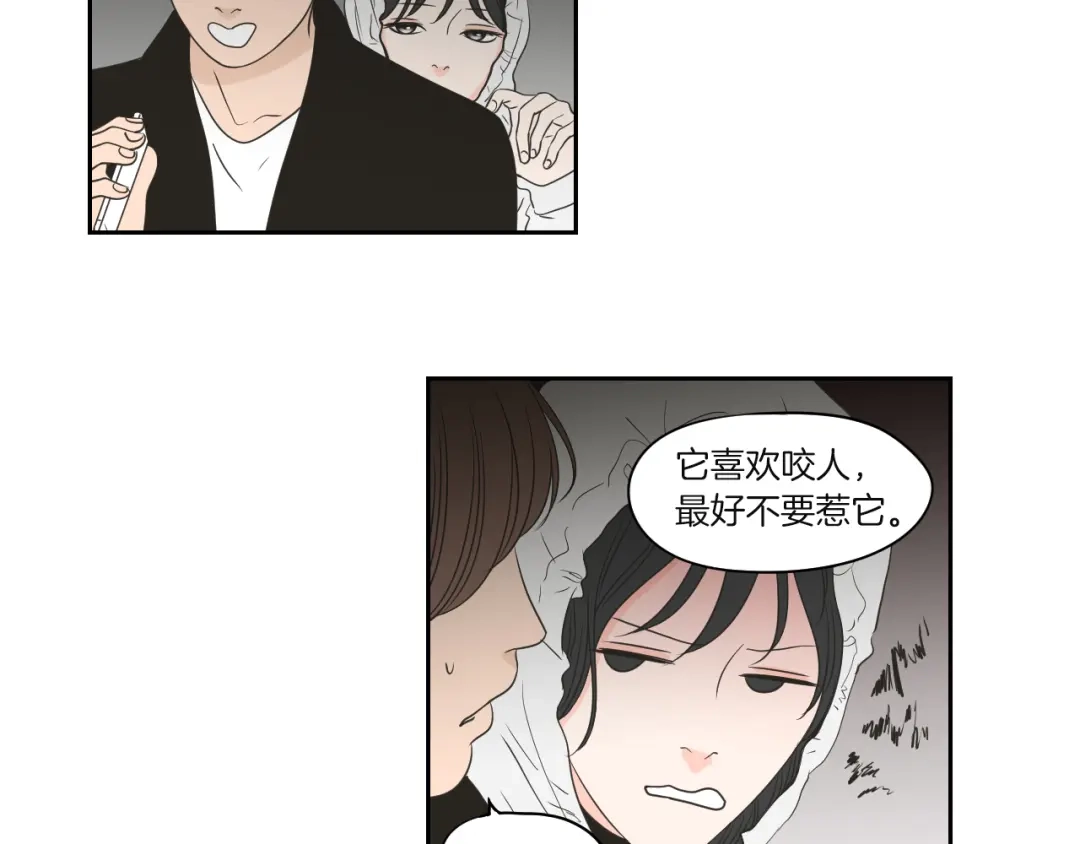 《What Does The Fox Say？》第71话 一起住吧 第41页