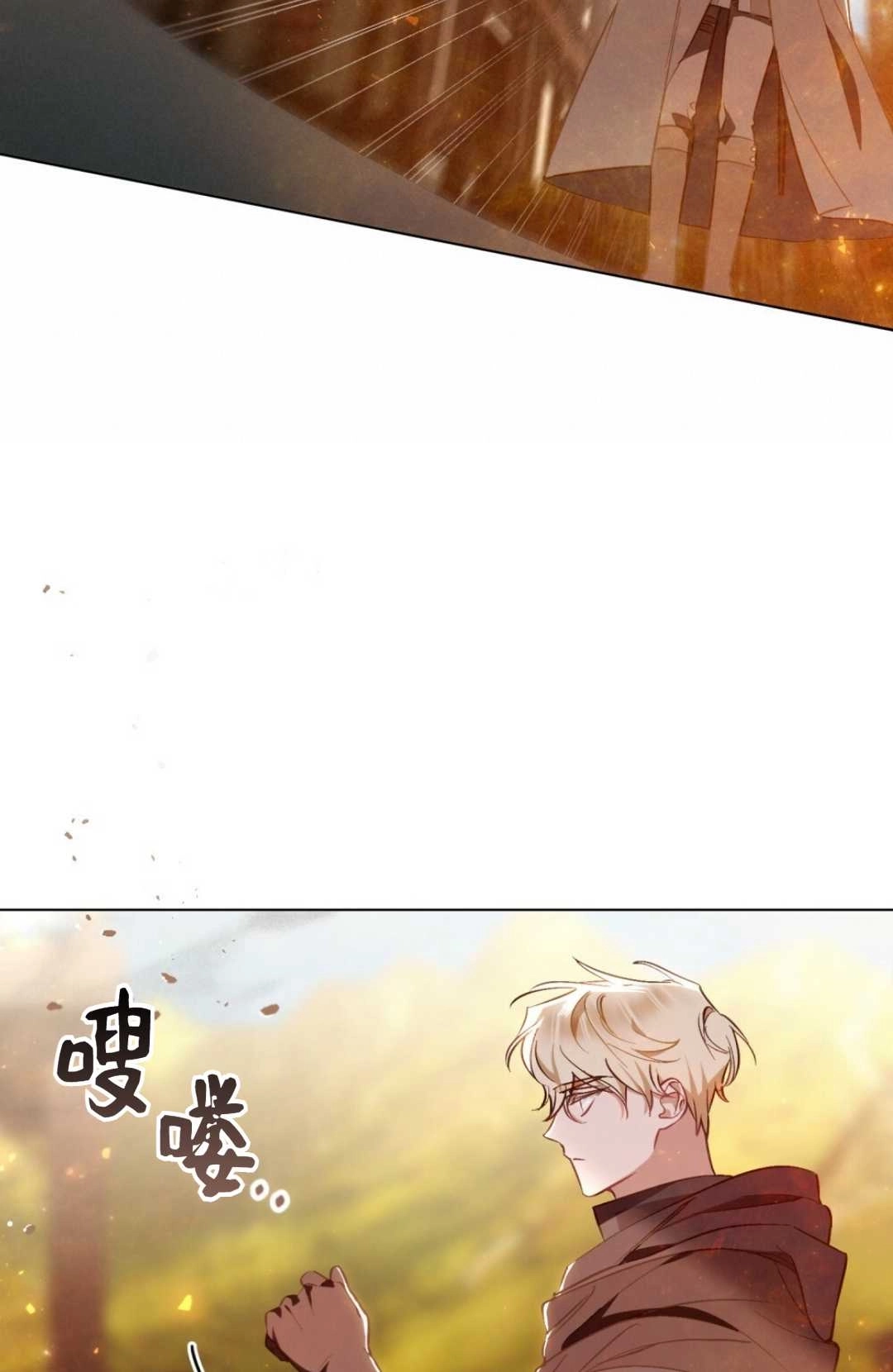 《艾凡杰琳的剑》第20话 第71页