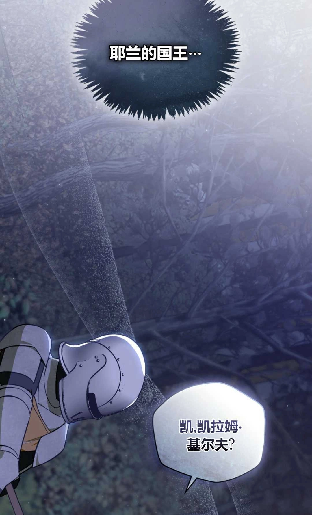 《艾凡杰琳的剑》第33话 第88页