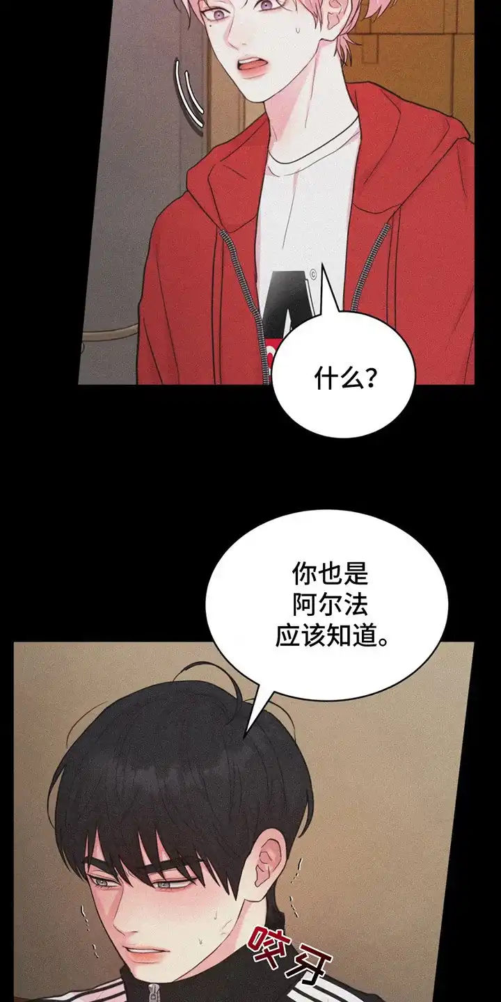 《爱情疗法》第14话 第3页