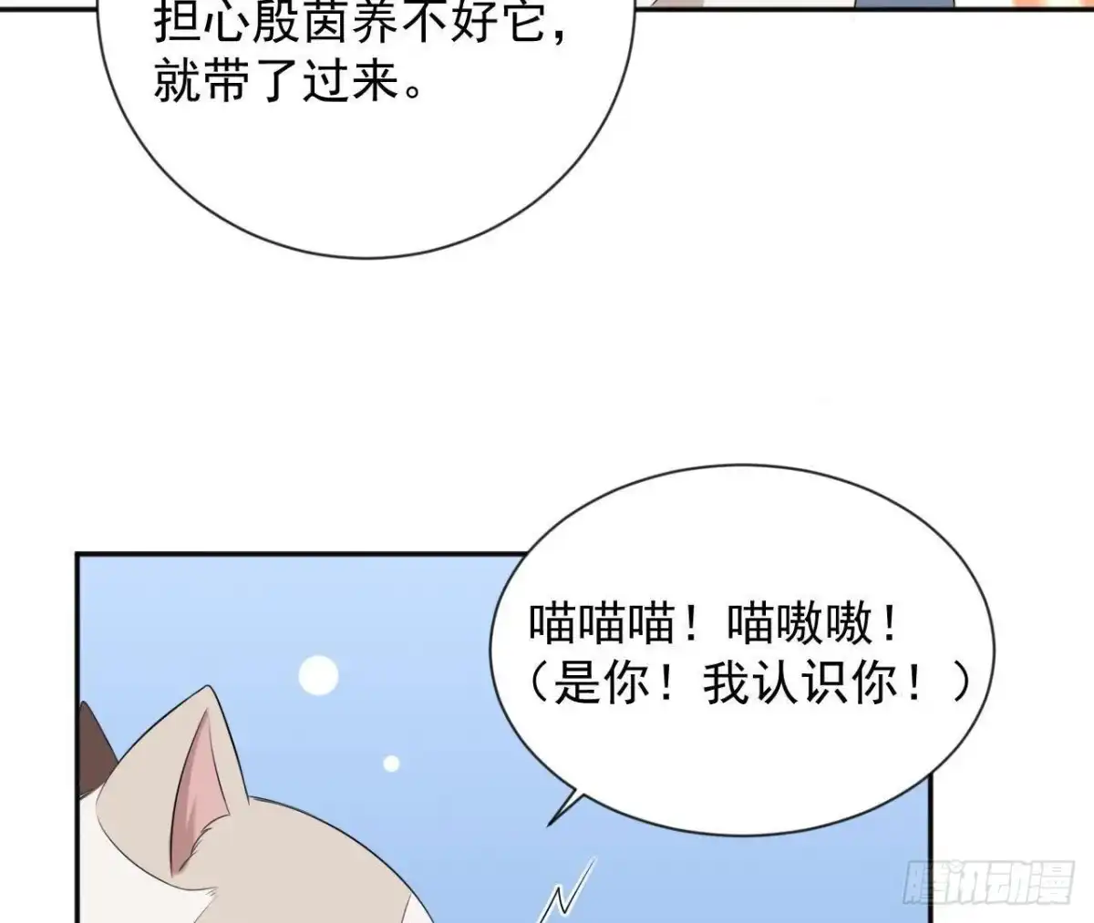 《爱在西元前》第166话 还有一个！？ 第47页
