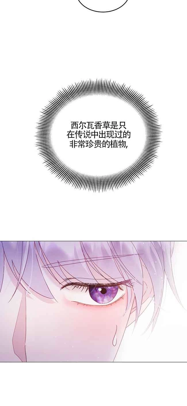 《阿莱萨的普里》第03话 第38页