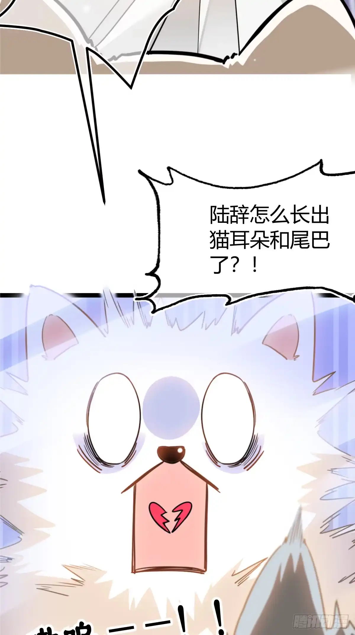 《暗恋对象是只猫》指导 第37页