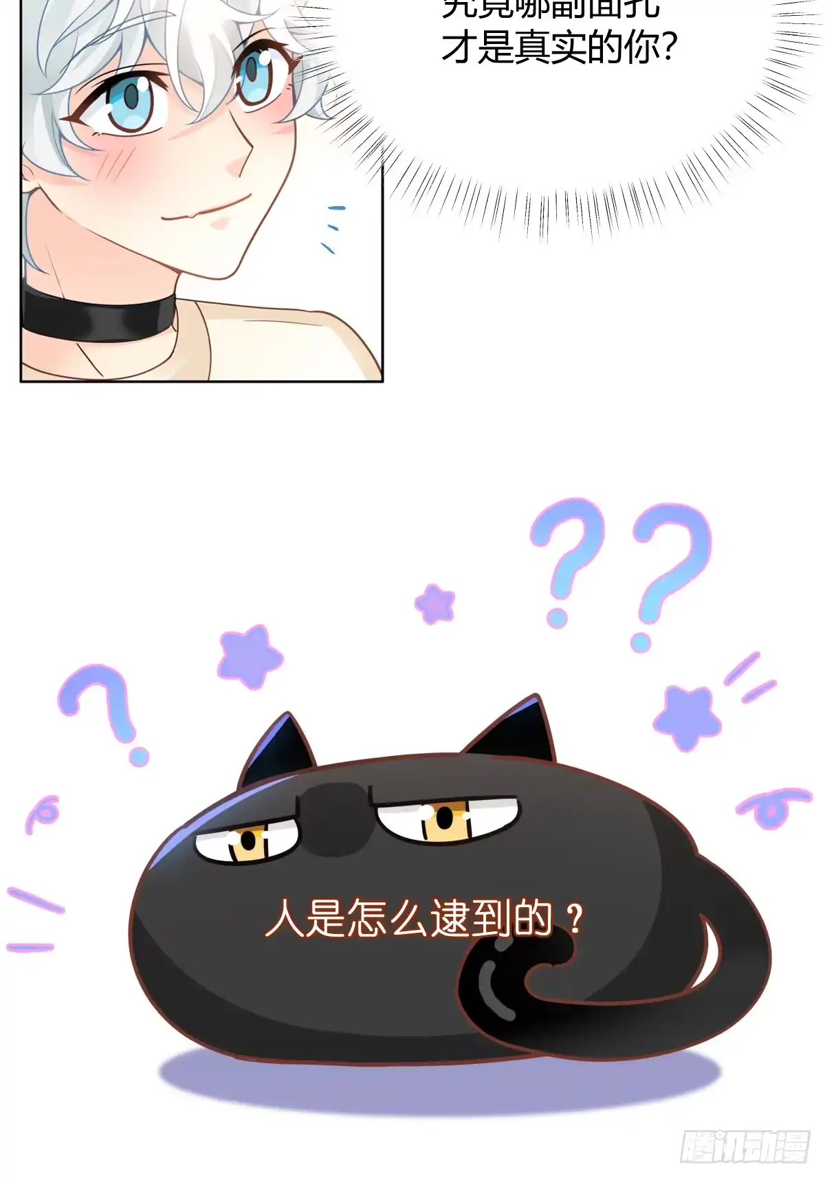 《暗恋对象是只猫》真相 第27页